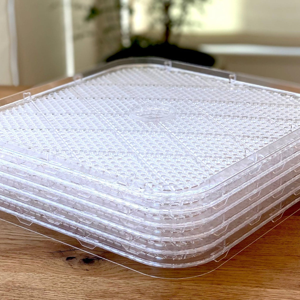 princessfooddryer6tray20001400 